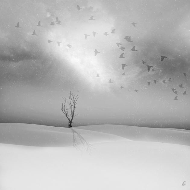 BIENTOT UN LONG SILENCE.jpg